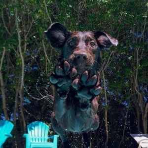 Meet your Posher, Marina